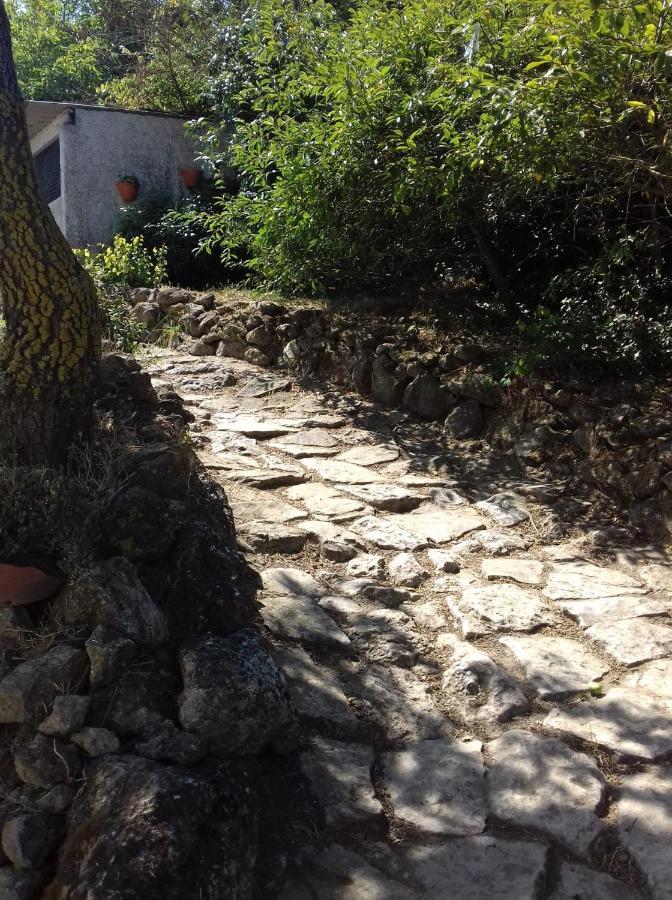 Casinha De Campo- Quintinha Dos Cavalos- Arruda Dos Vinhos Exteriör bild