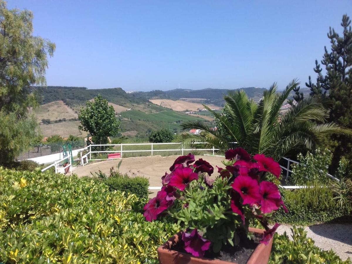 Casinha De Campo- Quintinha Dos Cavalos- Arruda Dos Vinhos Lägenhet Exteriör bild