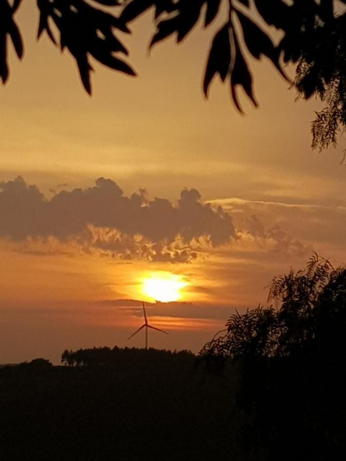 Casinha De Campo- Quintinha Dos Cavalos- Arruda Dos Vinhos Exteriör bild
