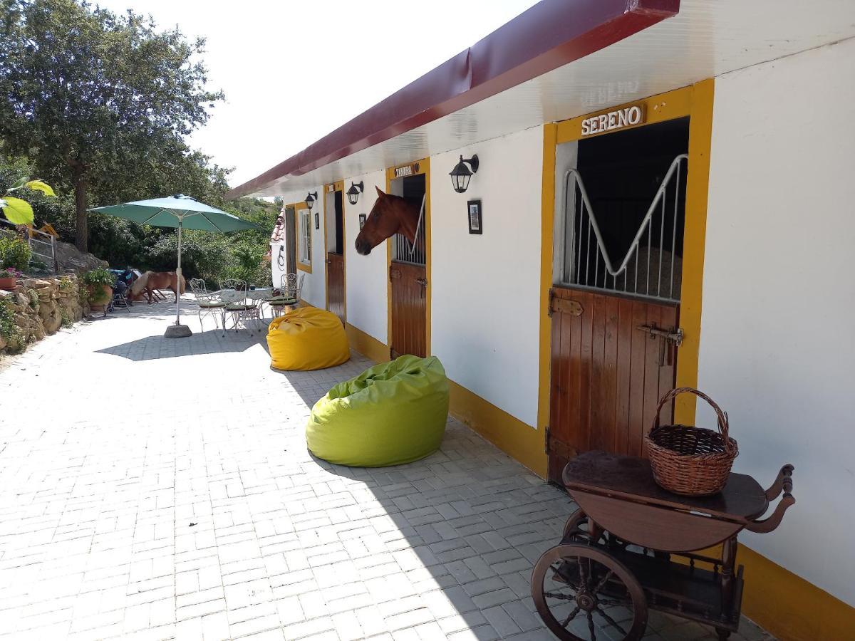 Casinha De Campo- Quintinha Dos Cavalos- Arruda Dos Vinhos Exteriör bild
