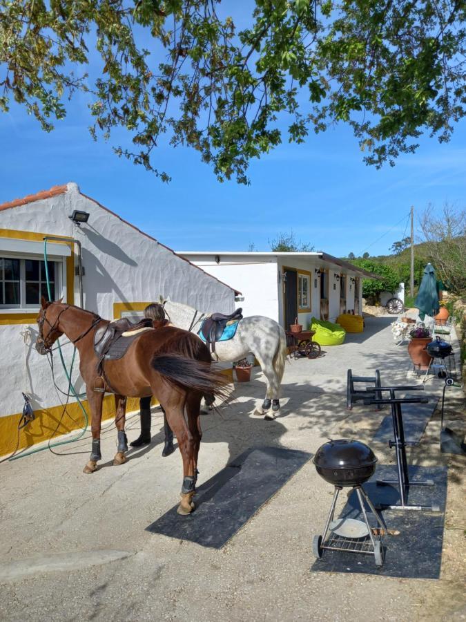 Casinha De Campo- Quintinha Dos Cavalos- Arruda Dos Vinhos Lägenhet Exteriör bild