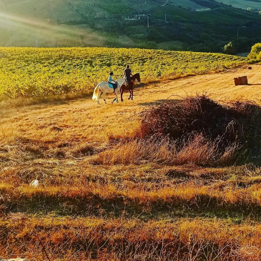 Casinha De Campo- Quintinha Dos Cavalos- Arruda Dos Vinhos Lägenhet Exteriör bild